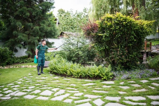 Best Affordable Pest Control Services  in Pine Brook, NJ
