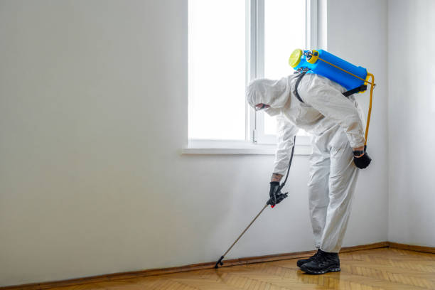 Best Mosquito Control Services  in Pine Brook, NJ