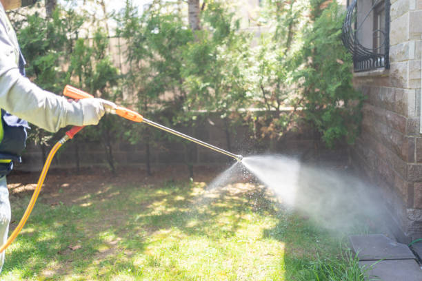 Best Rodent Control Near Me  in Pine Brook, NJ
