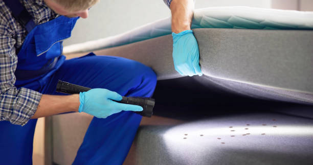 Best Flea Control Services  in Pine Brook, NJ