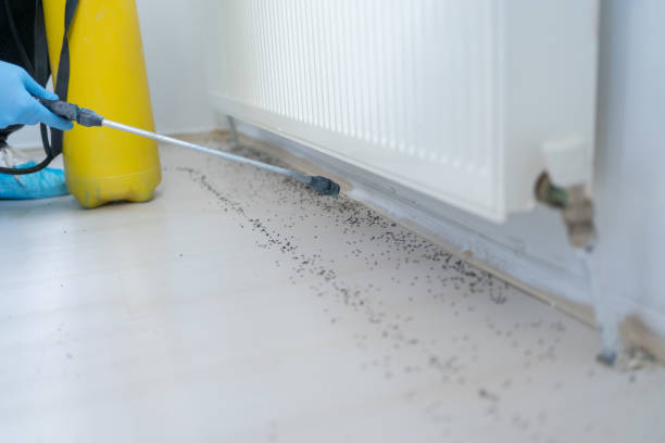 Best Pest Prevention Services  in Pine Brook, NJ