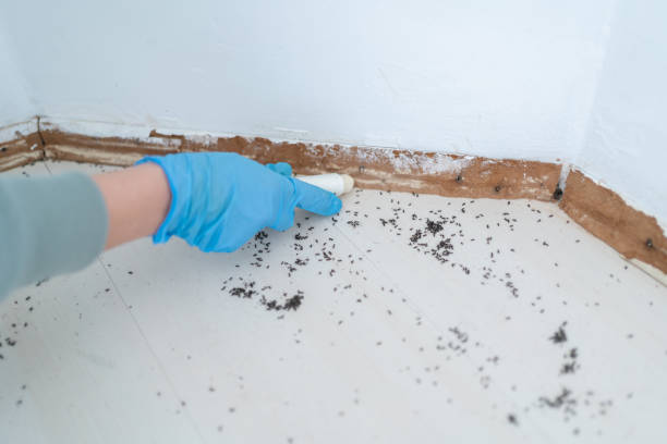 Best Pest Inspection Near Me  in Pine Brook, NJ